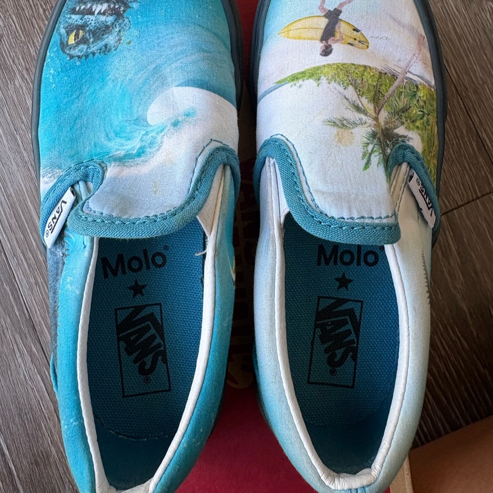 VANS X Molo Unisex Kids Canvas Slip-On Shoes US 12.5 EU 30 Beach Surf Monster